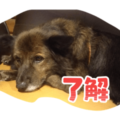 NATSUKING_20260108152121