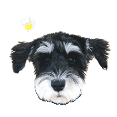 harupi_20260108153212