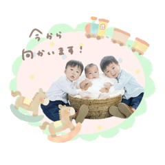 puchitoma_20260108160242