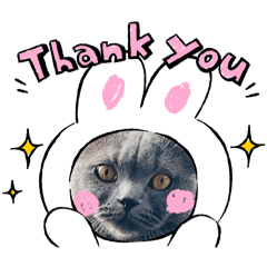 asuka_20260108204746