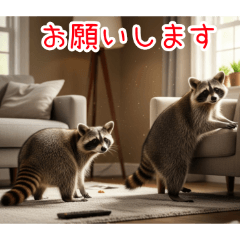 [お願いします専用]アライグマ