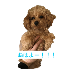 ayaka_20260108161540