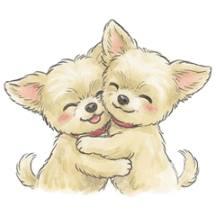 Cute Chorkie Dog Stickers