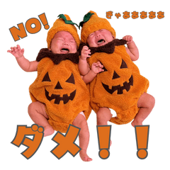 顔が豊かな双子