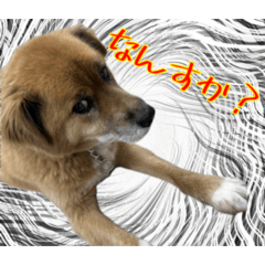 komatsu_mental_20260108174155