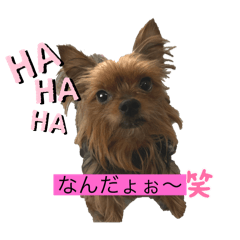 Asuka_20260108143553