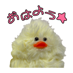 honchan_20260107002622