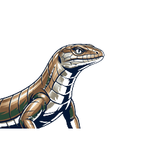 Cool Glass Lizard Stickers (8 Types)