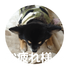 KAORi_20260107092908