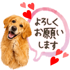 Daily Chats of a Golden Retriever