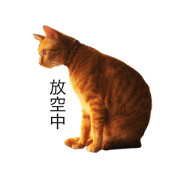 Reiki cat-Capricious
