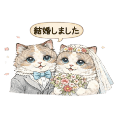 Mayalily_20260108220835