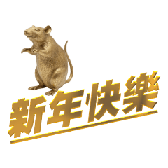 Golden Mouse Celebrates the New Year