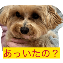 momo_20260107124020