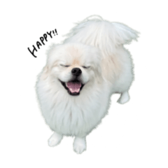 Yamada_20260107123921