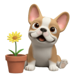 frenchie gang (no text) #7