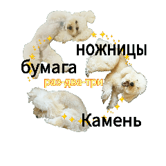 Poodle's rock-paper-scissors (Russian)