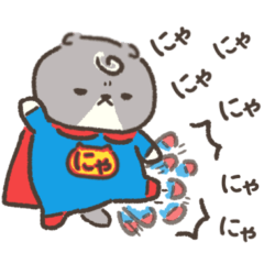 Super Nyan.Scottish fold 1.