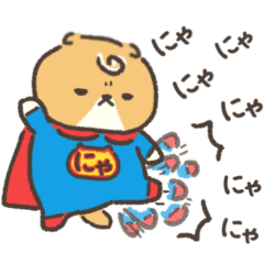 Super Nyan.Scottish fold 2.