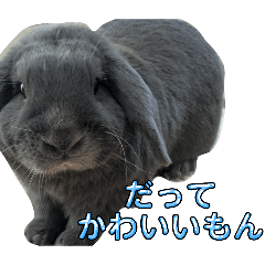 kinako_20260106203057