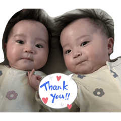 michiyo_20260109000055