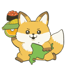 Hokkaido Ezo red fox