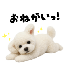 HANAKO_20260109000920