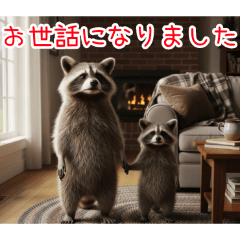 [お世話になりました専用]アライグマ