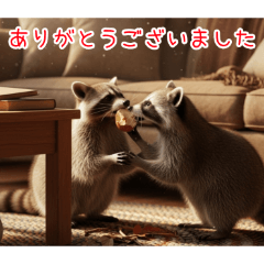 [ありがとうございました専用]アライグマ