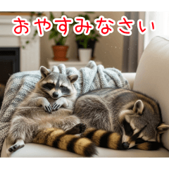 [おやすみなさい専用]アライグマ