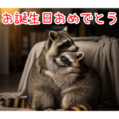 [お誕生日おめでとう専用]アライグマ