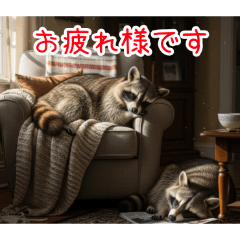 [お疲れ様です専用]アライグマ