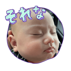 aotoyokinamainichi