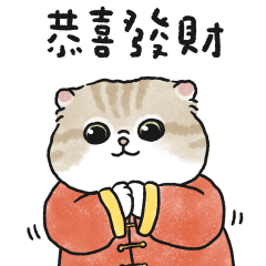 Oba cat34 -cream tabby cat