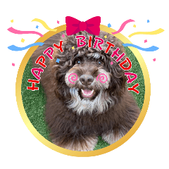 kinako_20260107205136