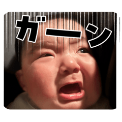 yuka_20260109082522