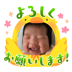 akkunmama_20260109094623