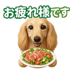 [お疲れ様]専用♥犬好きさんへ食べ物どうぞ