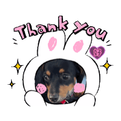 maruchan_20260109165845