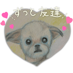 kurotan1_20260109125032