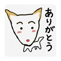 kotteri_20260109161152