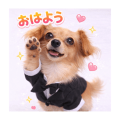 Kenken_20260109161553