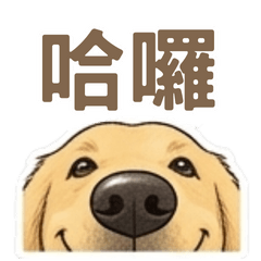 黃金亮亮：超實用職場與生活日常