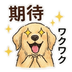 黃金亮亮之賣萌日記