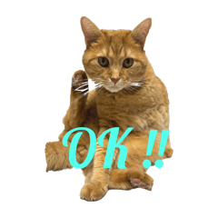 rararan_20260109133743