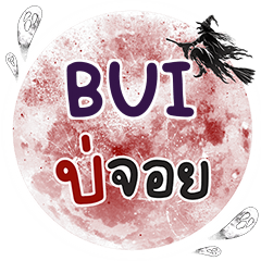 BUI บ่จอย คำเดียว e