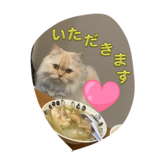 chico_20260109145257