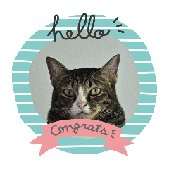 jira cat_20260109130123