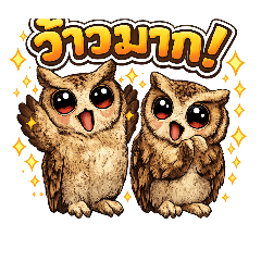 nimit_20260109132249