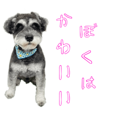 Bunchaaaan_20260109183213